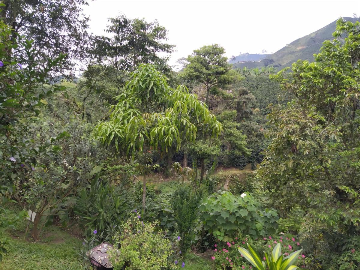 Вилла Hacienda Guayabal Чинчина Экстерьер фото